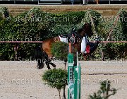 Apolloni Baby Arko GioCav2013 S5 1913 : Apolloni Gianluca, Baby Arko, Campionati Italiani Giovani Cavalli, Cattolica, ph Stefano Secchi ©